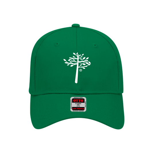 Embroidered AT Kelly Green Baseball Cap